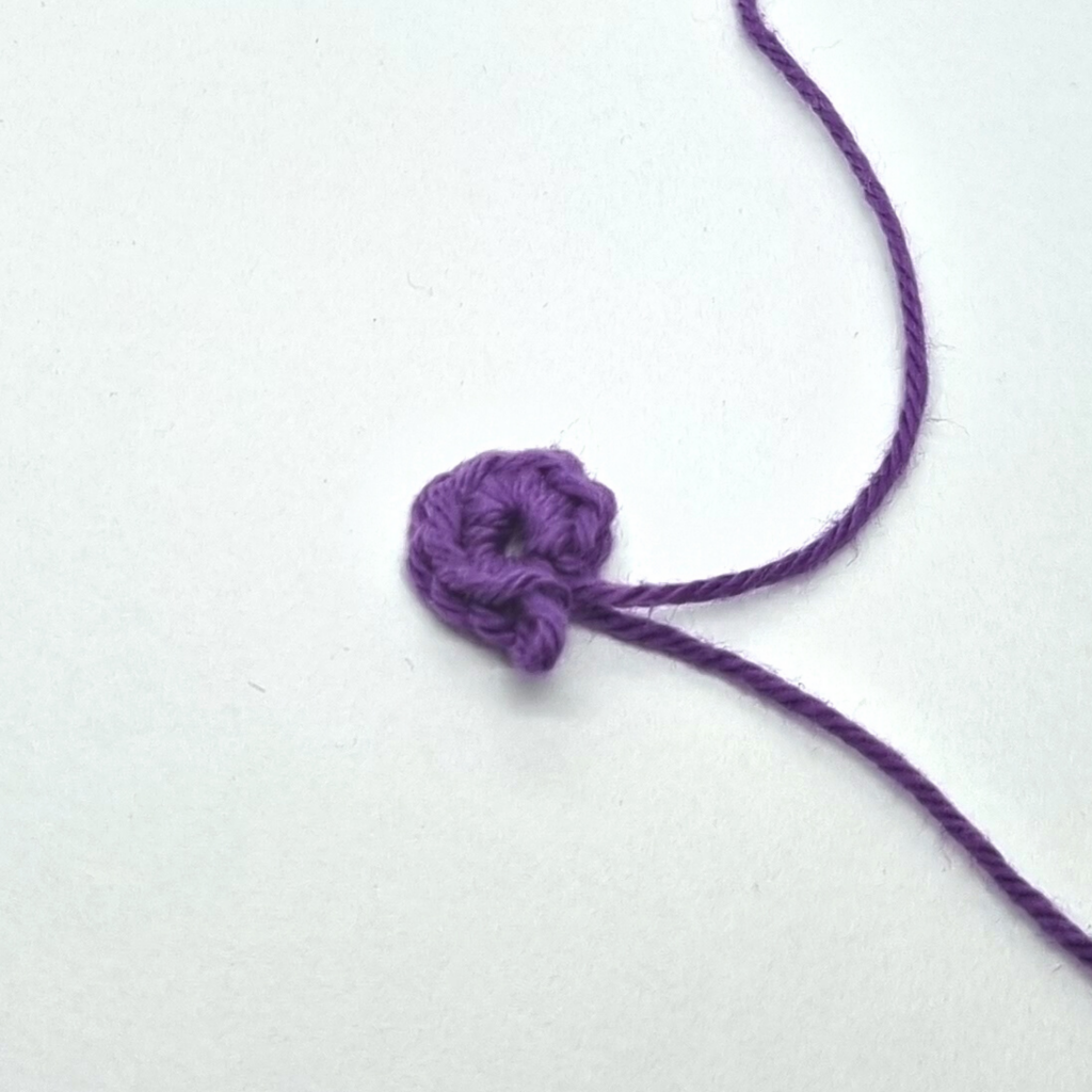 8 single crochet in a magic ring